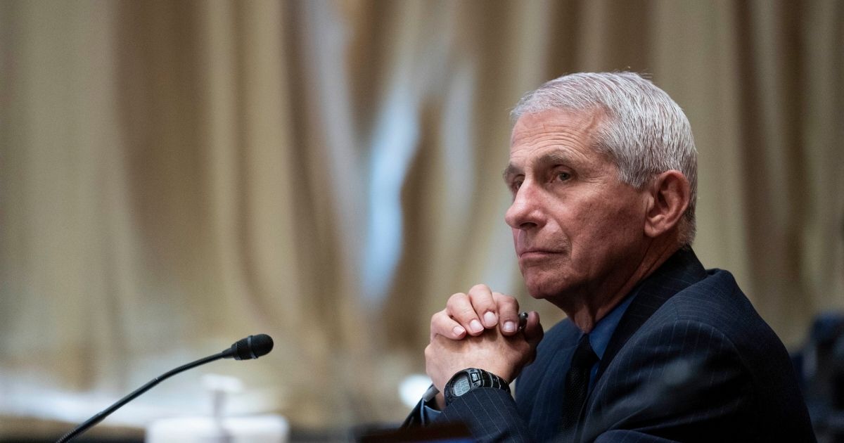 Dr. Anthony Fauci, director of the National Institute of Allergy and Infectious Diseases, listens during a Senate Appropriations Subcommittee hearing on May 26 on Capitol Hill in Washington, D.C.