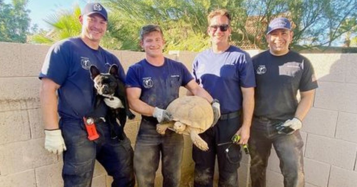 Firefighters hold the dog and the tortoise after their rescue in Scottsdale, Arizona.