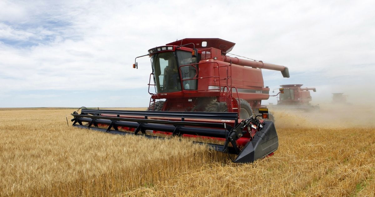 Farmers near Roggen, Colorado, work in the fields on their combines to harvest winter wheat on July 9, 2009.