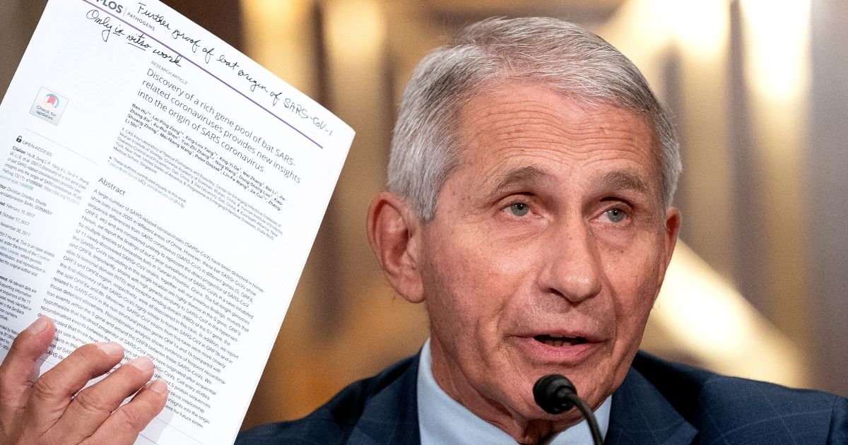 Dr. Anthony Fauci, Director of the National Institute of Allergy and Infectious Diseases, testifies at a Senate Health, Education, Labor, and Pensions Committee hearing at the Dirksen Senate Office Building on July 20, 2021 in Washington, D.C.