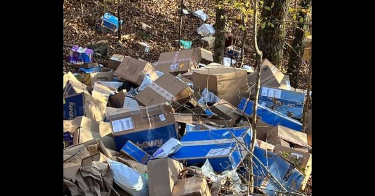 Hundreds of FedEx packages are seen in a ravine in Alabama.