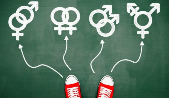 The tactics used by some leftist educators in influencing children's views on gender are alarmingly similar to those employed by pedophiles to groom their victims.