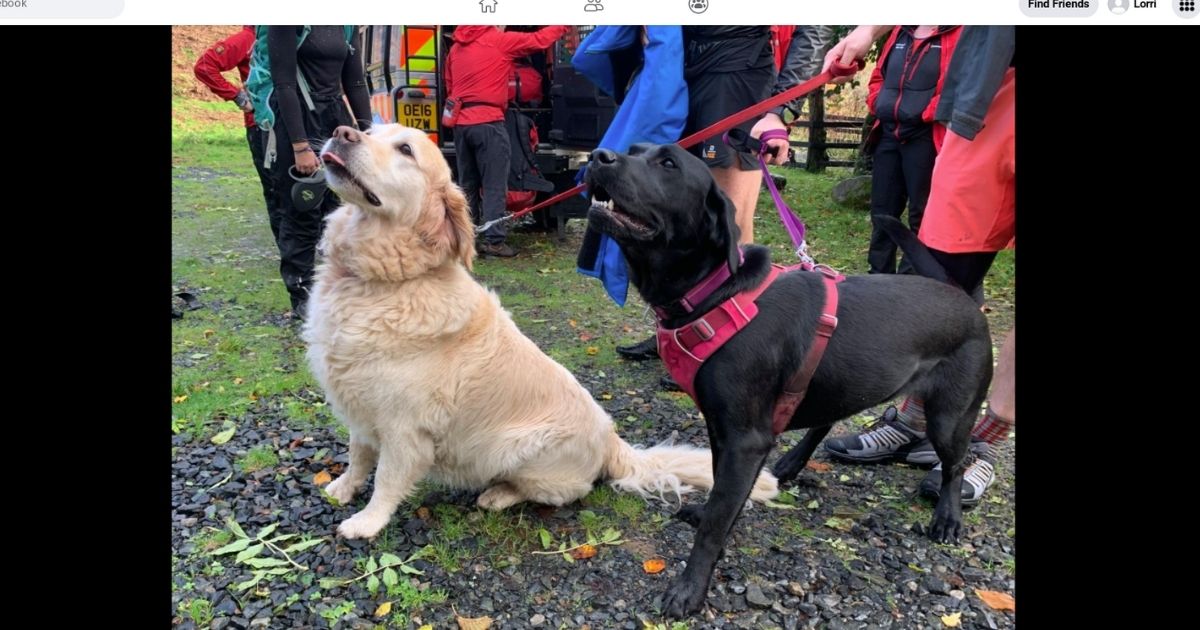 A man who suffered a seizure while walking at Braithwaite How in Keswick, England, Oct. 30 was rescued after his black Laborador ran for help while his golden retriever watched over him as he lay unconscious.