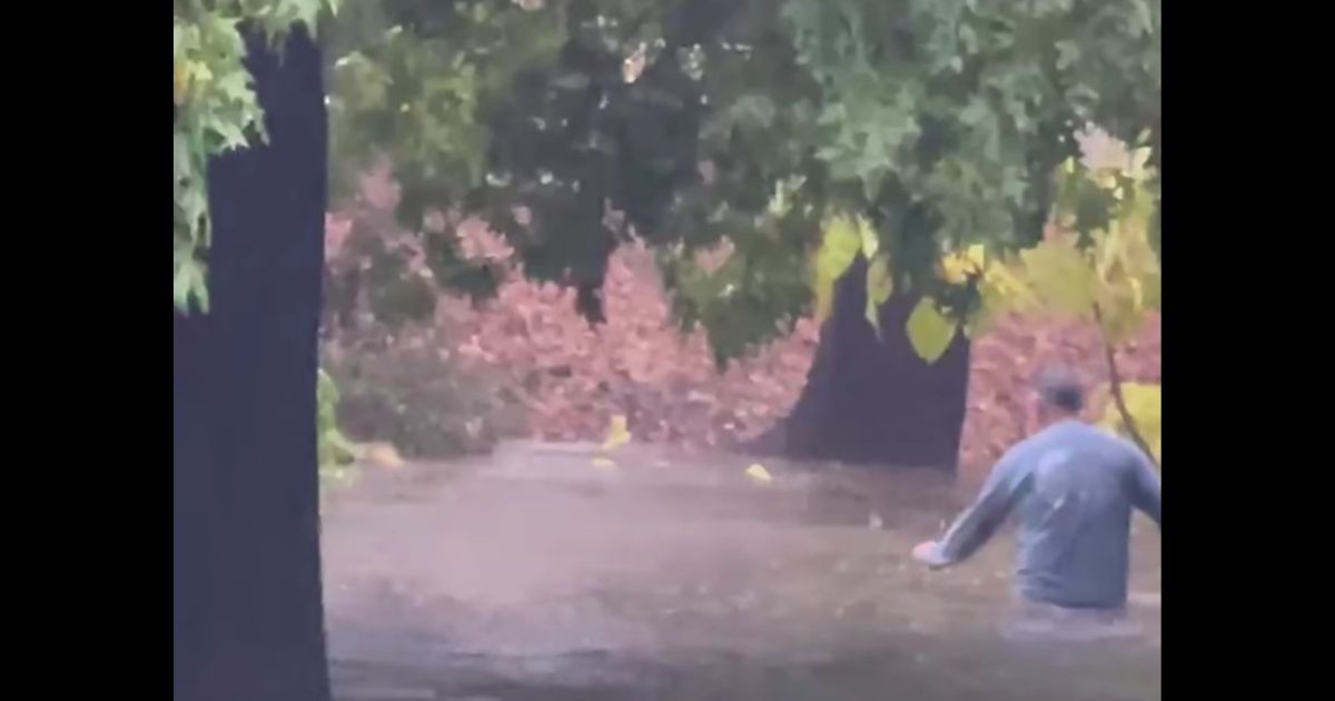 A man wades into heavy floodwaters in Sacramento, California, to rescue a kitten drowning and being swept along by the current.