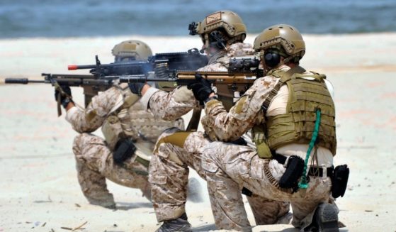 Navy SEALs participate in exercises at Joint Expeditionary Base Little Creek-Fort Story in Virginia Beach, Virginia, on July 21, 2012.