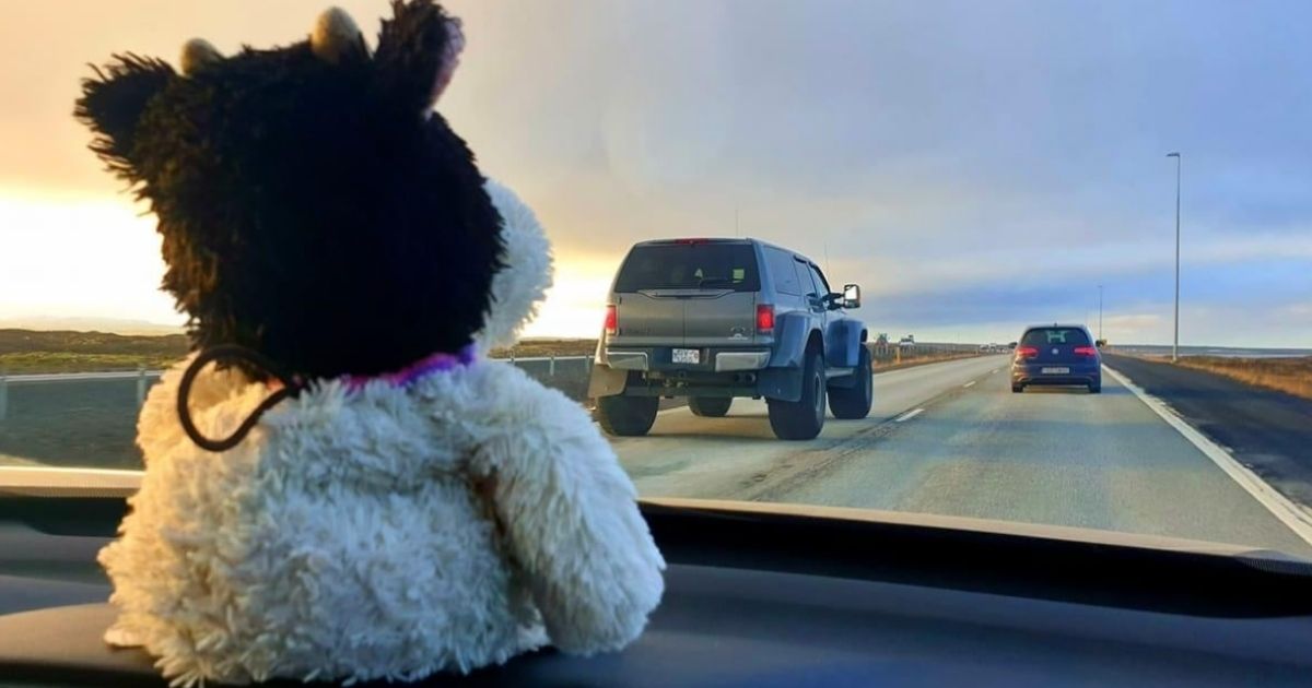 Cowie's rescuers snapped photos to chronicle the wayward stuffed animal's journey home.