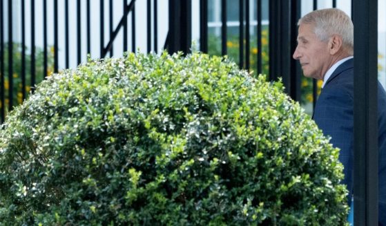 Dr. Anthony Fauci, chief medical adviser to President Biden, arrives at the White House on July 22, 2021. Republican Sen. Joni Ernst of Iowa is fighting back against Fauci and the National Institutes of Health.