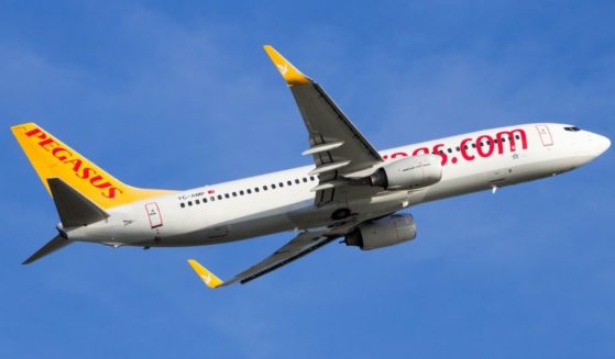 A Pegasus Airlines airplane is seen in the above stock image.