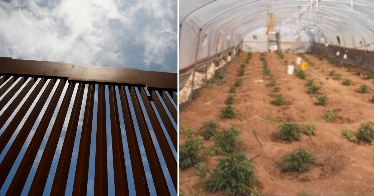 A border wall stands between San Diego and Tijuana on May 10 in San Diego County, California. A marijuana farm is seen in the screen shot on the right.