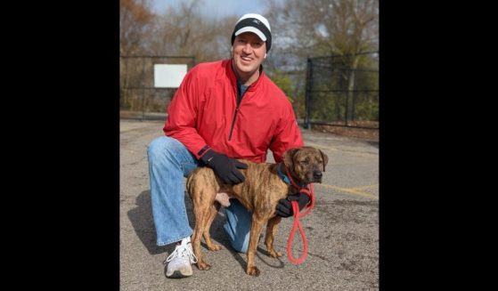Alex Johns from Cincinnati decided to walk 50 dogs from the local Humane Society to celebrate his 50th birthday.