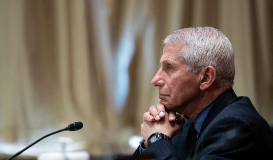 Dr. Anthony Fauci, director of the National Institute of Allergy and Infectious Diseases, listens during a Senate Appropriations Labor, Health and Human Services Subcommittee hearing on Capitol Hill on May 26 in Washington, D.C.