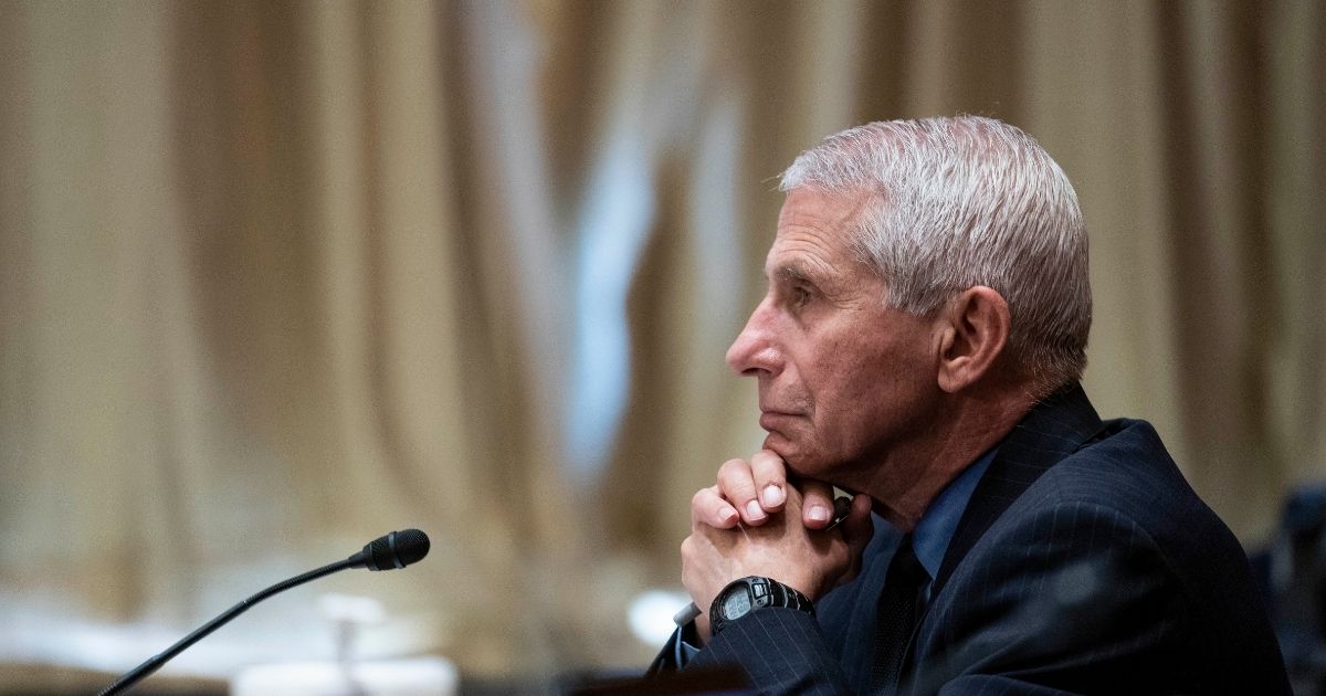 Dr. Anthony Fauci, director of the National Institute of Allergy and Infectious Diseases, listens during a Senate Appropriations Labor, Health and Human Services Subcommittee hearing on Capitol Hill on May 26 in Washington, D.C.