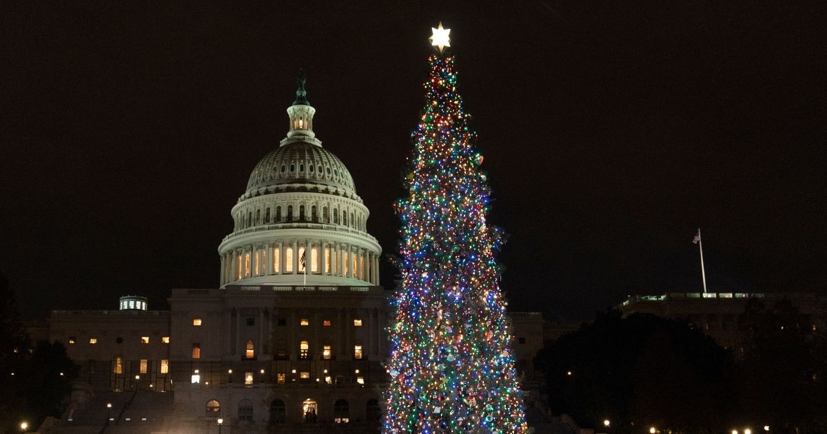 The 2021 Capitol Christmas tree is lit on the West Lawn during a ceremony on Dec. 1.