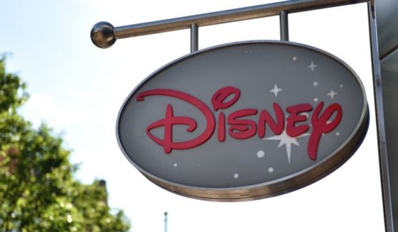The New Tolerance Campaign watchdog organization compiled a list of the "Top 10 Most Hypocritical Institutions of the Year," which included major corporations like Disney.