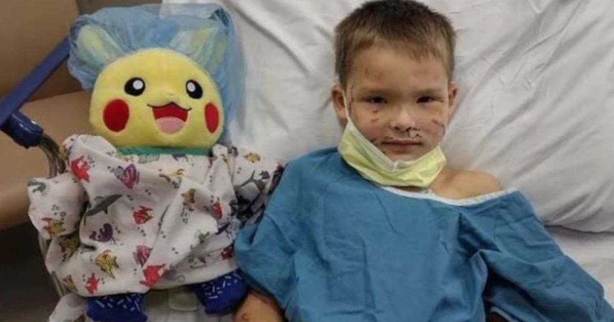 Nine-year-old Hunter Heater was attacked by two dogs Oct. 13 while playing at a friend's house in White Lake Township, Michigan, leaving him hospitalized with a skull fracture and lacerations all over his body. The local police department is organizing a special Christmas for the boy.