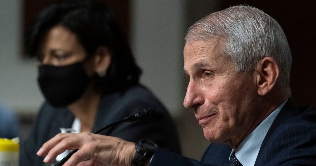 Dr. Anthony Fauci is seen speaking at a Senate committee hearing on Capitol Hill, Nov. 4 in Washington. Fauci told CNN that a Fox News personality should be fired for statements he recently made about him.