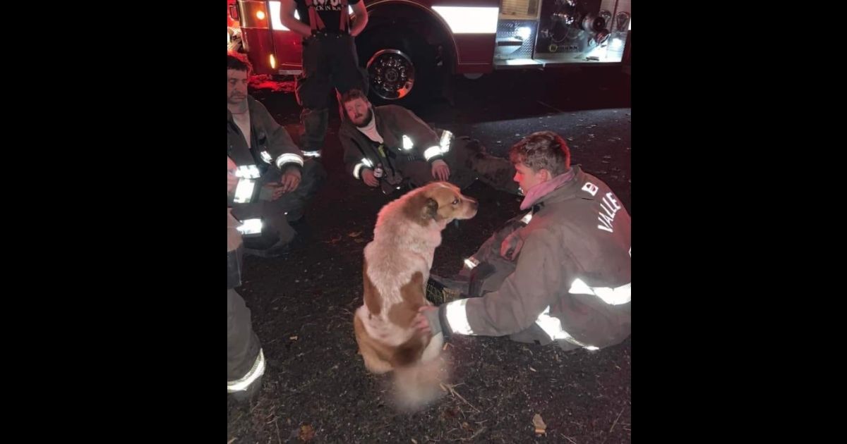 The Valley Volunteer Fire Department gathers around "Butter" the dog after he helped save a family from a house fire in Big Stone Gap, Virginia.