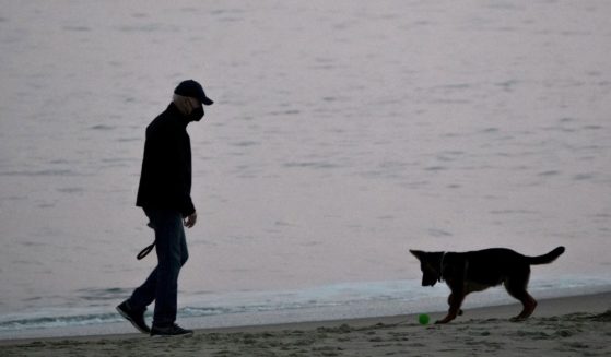 President Joe Biden plays with his dog Commander at Rehoboth Beach, Delaware, on Tuesday.