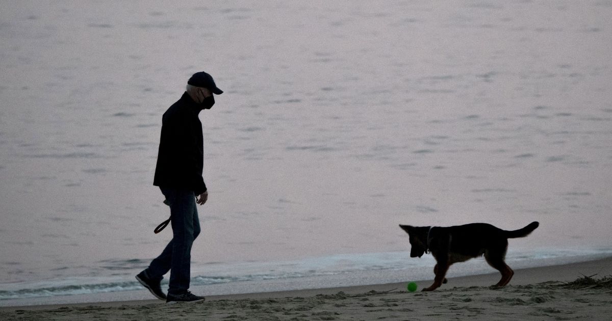 President Joe Biden plays with his dog Commander at Rehoboth Beach, Delaware, on Tuesday.