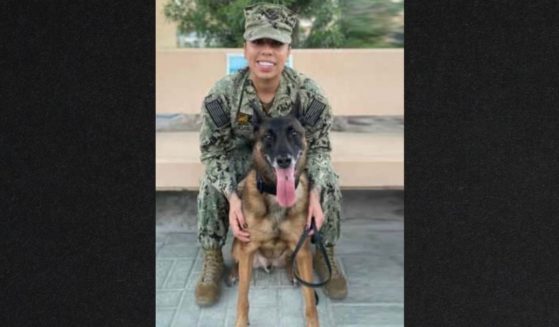 Petty Officer Second Class Adrianna volunteered to adopt retiring military K9 Duke after her first retired working dog passed away from old age.