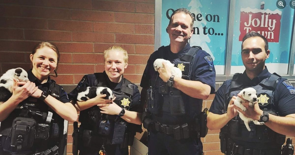 Four Tulsa police officers adopted puppies that were abandoned at a local QT in Tulsa, Oklahoma, on Christmas. A QT employee adopted the fifth puppy.