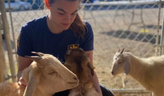 The Humane Society of Tulsa has been working since Dec. 9 to care for and rehome more than 150 animals - including these goats - that were seized by the Tulsa County Sheriffs Office in Collinsville, Oklahoma.