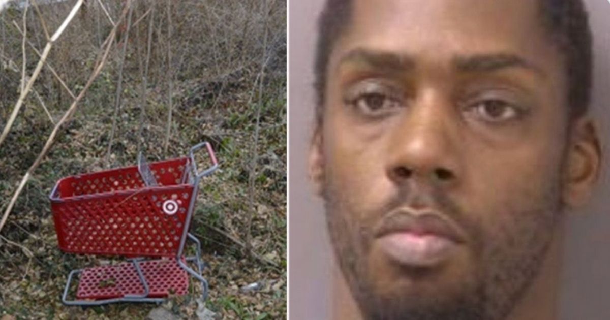 Anthony Robinson, right, was arrested after police linked him to bodies found around Virginia; during the investigation, the murderer was known as the Shopping Cart Killer because he used shopping carts to transport the bodies of his victims.