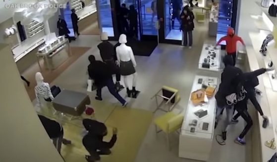 "Smash and grab" robbers clear the shelves of a high-end store in Los Angeles.