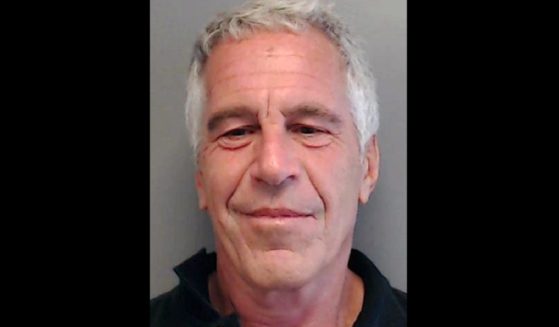 The late Jeffrey Epstein is pictured in a mugshot released by the Florida Department of Law Enforcement.