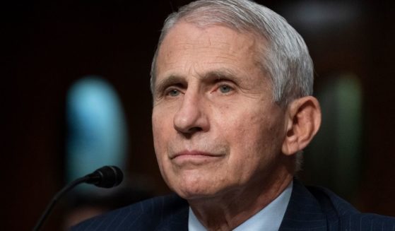 Dr. Anthony Fauci, director of the National Institute of Allergy and Infectious Diseases, pauses while speaking during a Senate Health, Education, Labor, and Pensions Committee hearing on Capitol Hill on Nov. 4, 2021, in Washington, D.C.