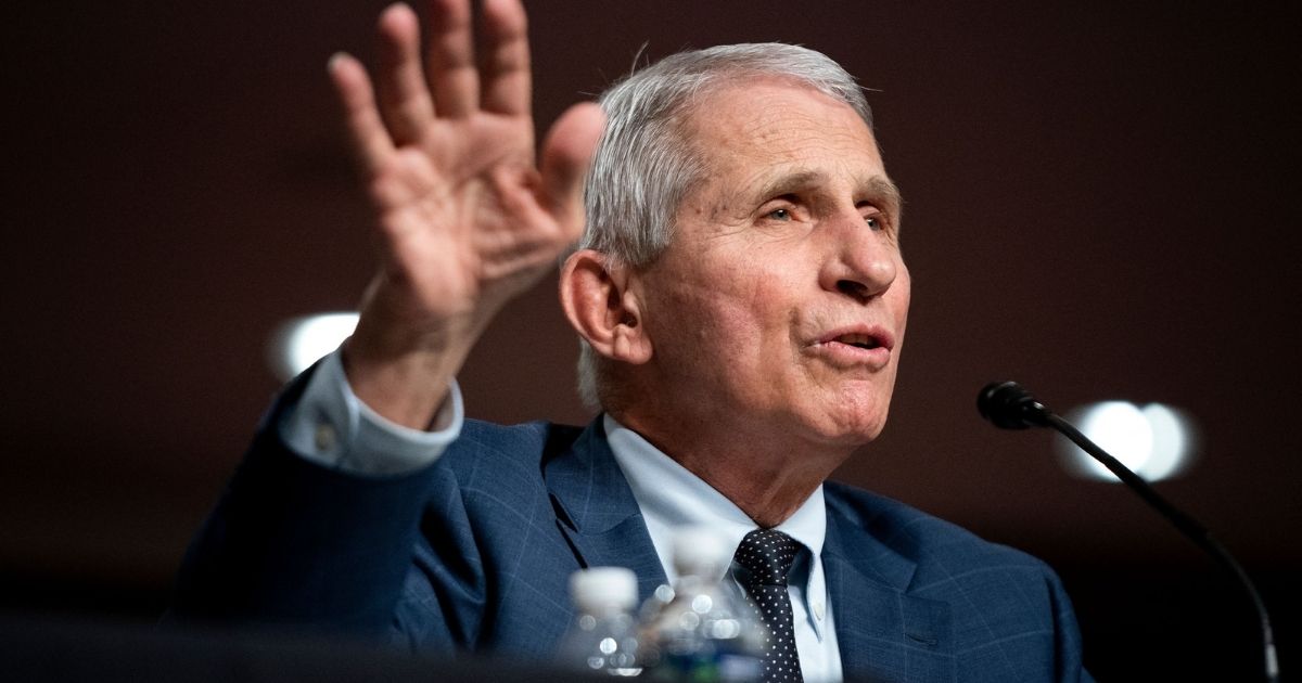 Dr. Anthony Fauci gives an opening statement during a Senate Health, Education, Labor and Pensions Committee hearing on Jan. 11 on Capitol Hill in Washington, D.C.