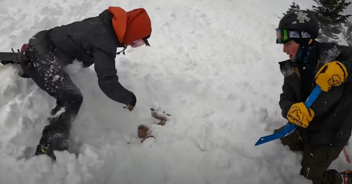 Skiers work to free a dog who had been trapped in a Colorado avalanche.