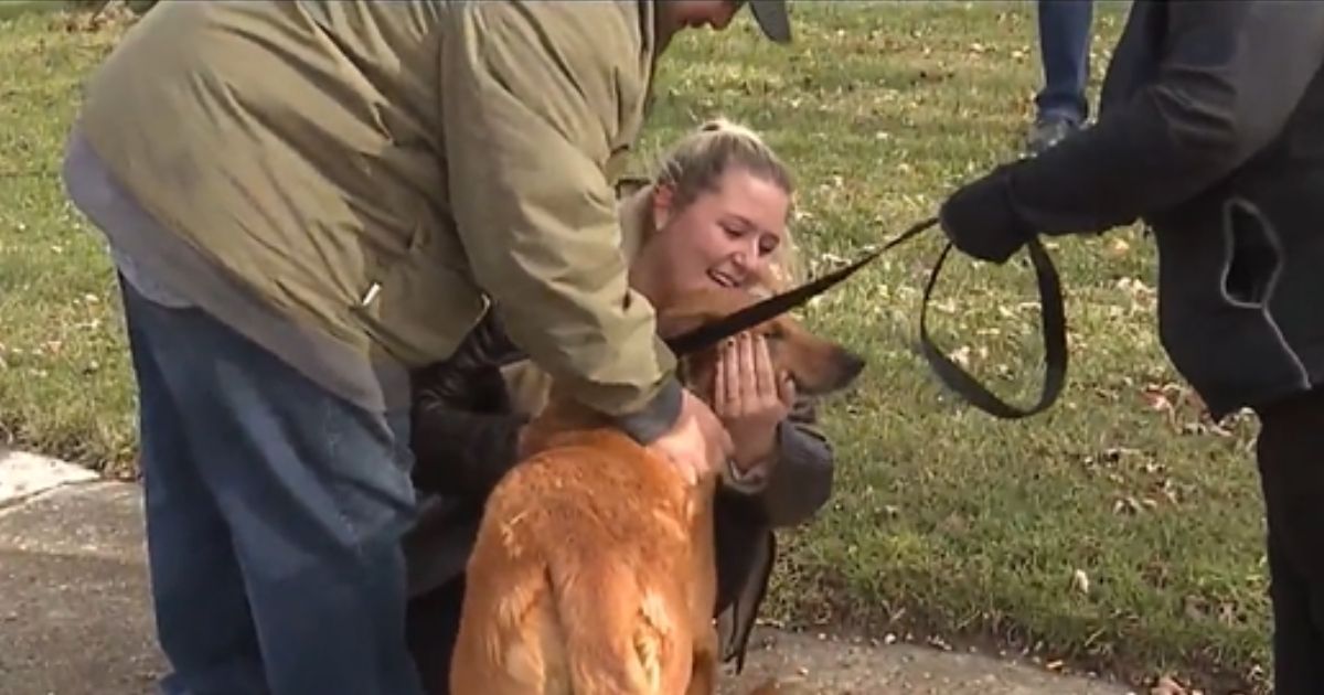Katrina and Mark Skelton of Sugar Land, Texas, are reunited with Daisy after three years.