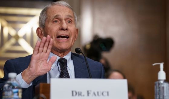 Dr. Anthony Fauci, seen testifying before a Senate committee meeting in July 2021, vehemently denied under oath that his agency funded gain-of-function research. Newly discovered documents appear to indicate otherwise.
