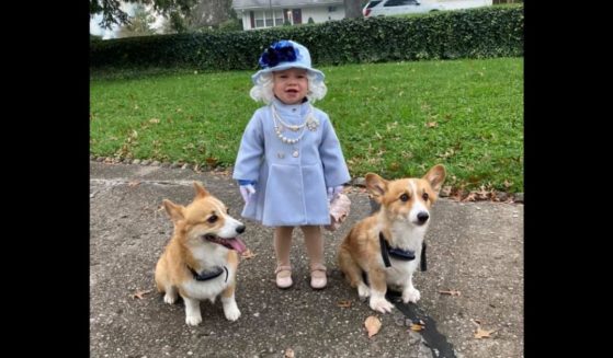 1-year-old Jalayne Sutherland spent Halloween dressed up as Queen Elizabeth II.