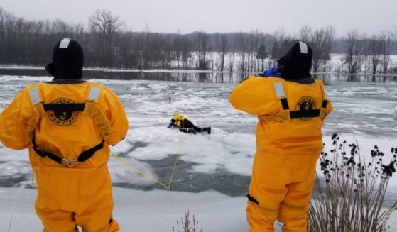 A Shih Tzu in Lysander, New York, chased some geese onto a frozen lake then became stuck on the ice when its leash became caught on the shards, resulting in the Plainville Fire Department having rescue the stranded animal.