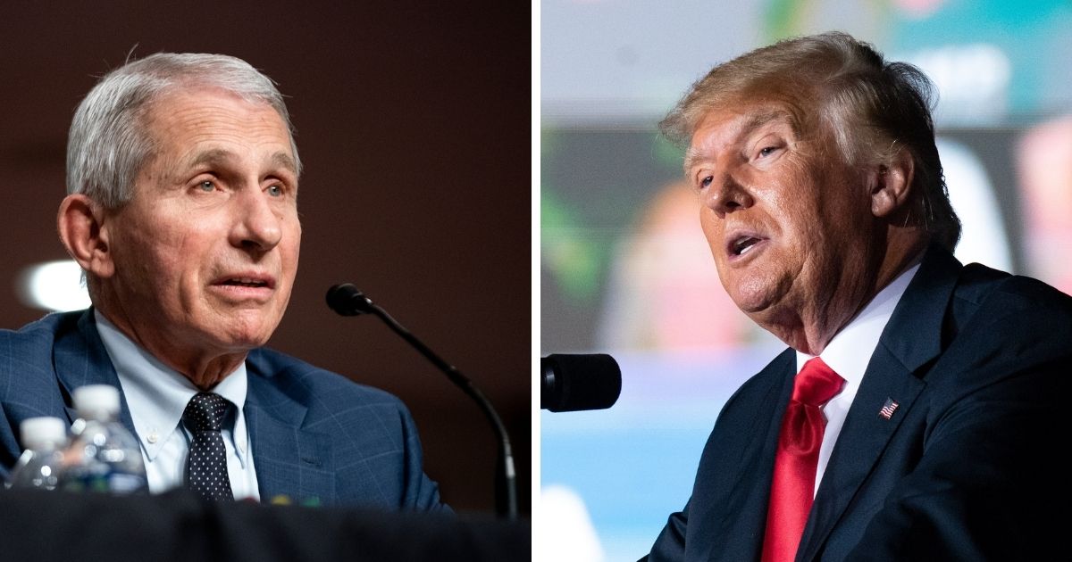 Dr. Anthony Fauci, left; former President Donald Trump, right.
