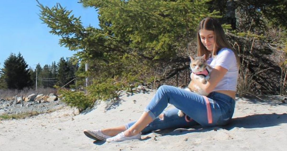 Angela Rafuse, who is from Nova Scotia, has launched 'My Grandfather's Cat,' a Canadian nonprofit that provides 'a safe space for seniors and people with terminal illnesses to arrange a second forever home for their beloved pets,' according to the organization's Facebook page.