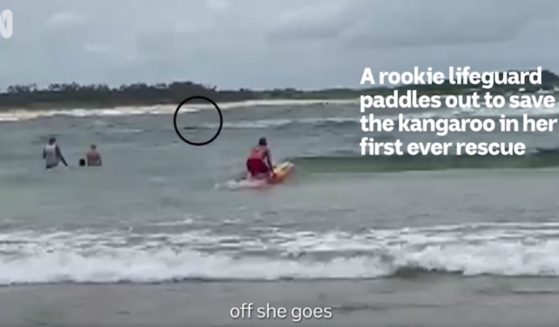 Lillian Bee Young, a 17-year-old rookie lifeguard, paddles out to sea in Iluka, New South Wales, to save a kangaroo that had plunged into the water. The rescue occurred on New Year's Eve.