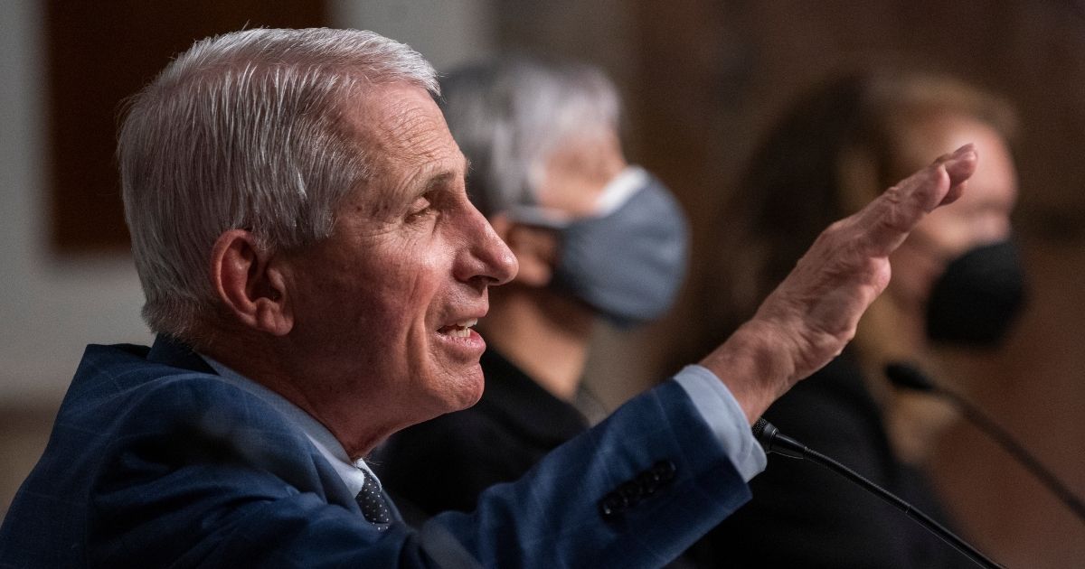 Dr. Anthony Fauci, director of the National Institute of Allergy and Infectious Diseases, testifies during a Senate Health, Education, Labor and Pensions Committee hearing on Capitol Hill on Tuesday, Jan. 11, 2022.