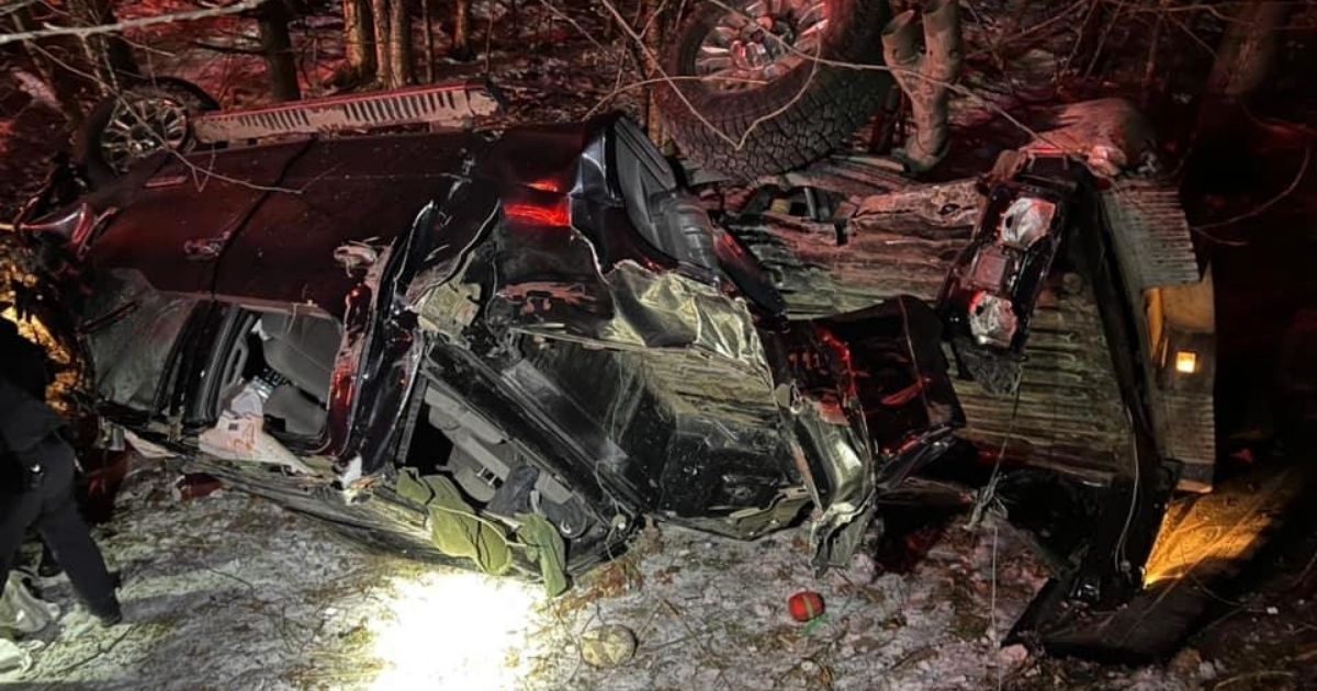 A dog led police in New Hampshire to the scene of a serious car accident.