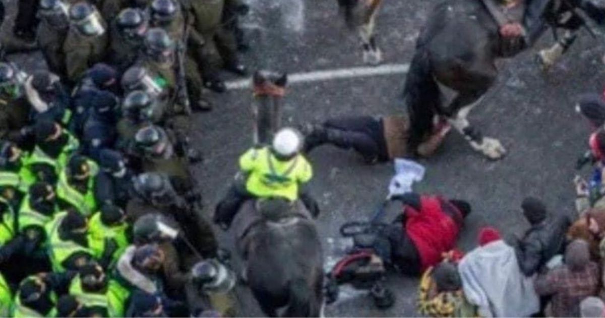 An overhead shot shows two Ottawa protesters, including a woman (in red) with a walker, who were knocked over as a line of mounted police pushed through the crowd.