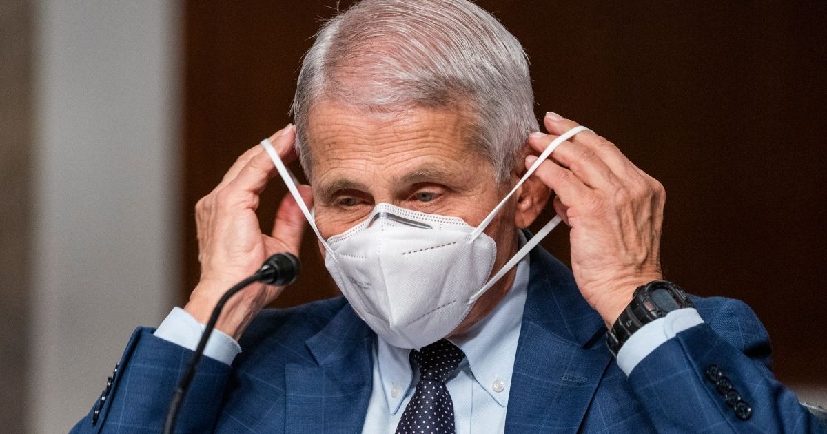 Director of the Nation Institute of Allergy and Infectious Diseases Dr. Anthony Fauci prepares before a Senate Health, Education, Labor, and Pension Committee hearing in Washington, D.C., to discuss COVID-19 responses on Jan. 11.