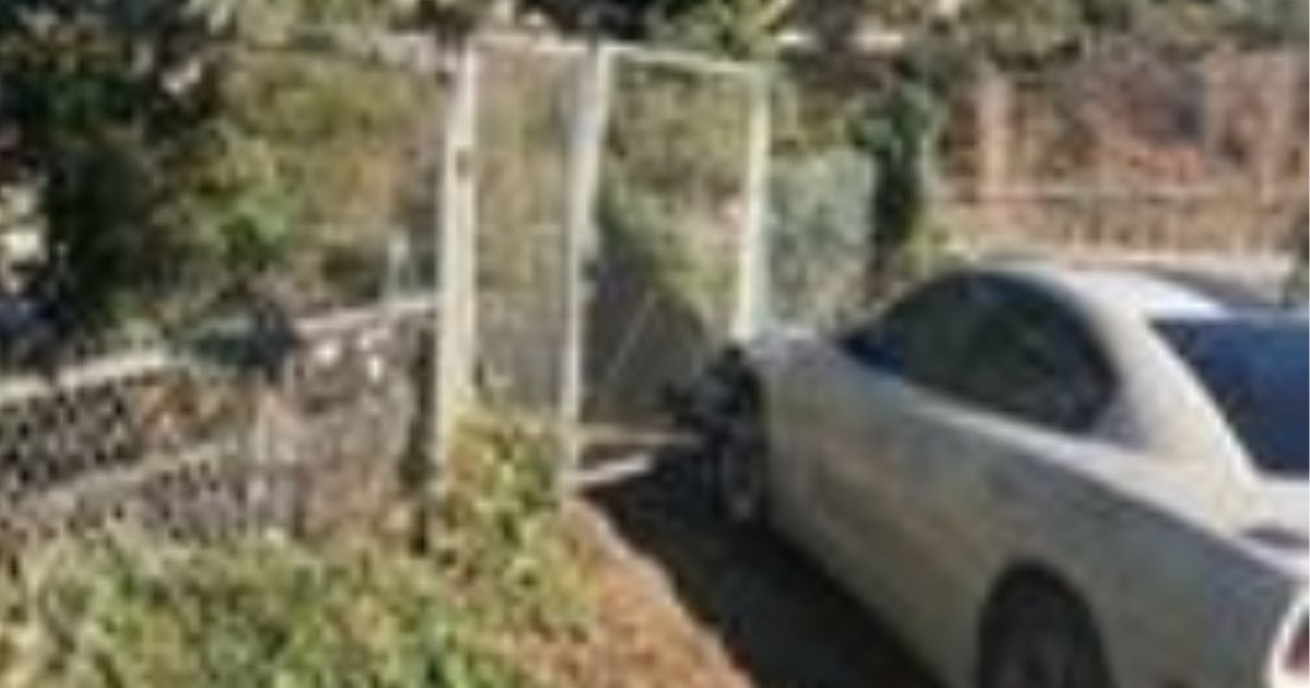 T.P. Brown Jr. used his Dodge Charger to pin a suspect against a fence after he stole a car with a 3-year-old child inside of it in Portland, Oregon.