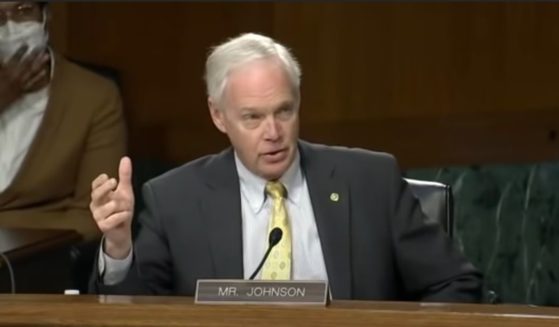 During Tuesday's Senate Foreign Relations Committee hearing, GOP Sen. Ron Johnson of Wisconsin questioned Deborah Lipstadt regarding her tweet calling him a "white supremacist."