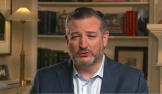 Republican Sen. Ted Cruz appeared on Fox News Sunday to discuss the Russia-Ukraine conflict, calling out the 81 million voters who put Biden in office.