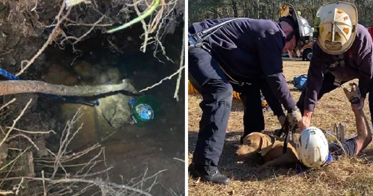 Left, the dog in the hole; right, the dog reaching the surface with firefighters' help.