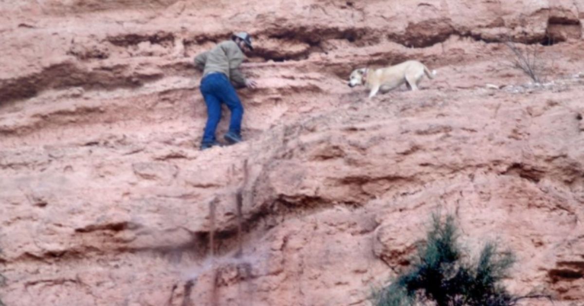 Rob Canfield, owner of 'Goldie' -- a Labrador/Shepherd mix -- attempts to rescue his dog on a cliff in Arizona earlier this month after Goldie got stranded while chasing a javelina the day before.