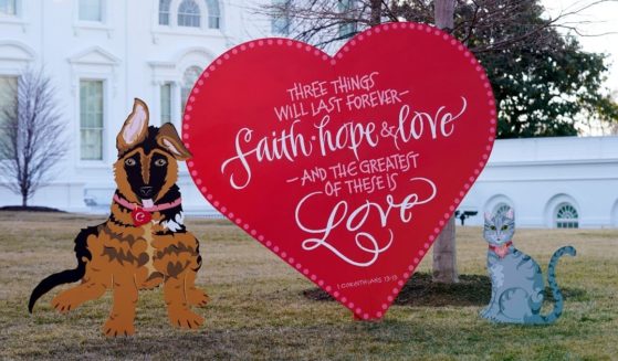White House Valentine's Day lawn decorations