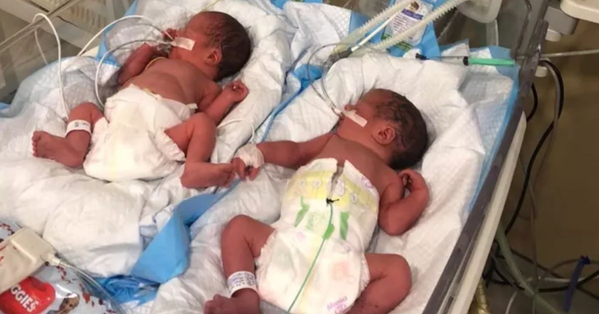 Lenny and Moishe, the twin sons of Sasha Spektor and Irma Nuñez, were born via surrogate on Feb. 25 in Kyiv, Ukraine.